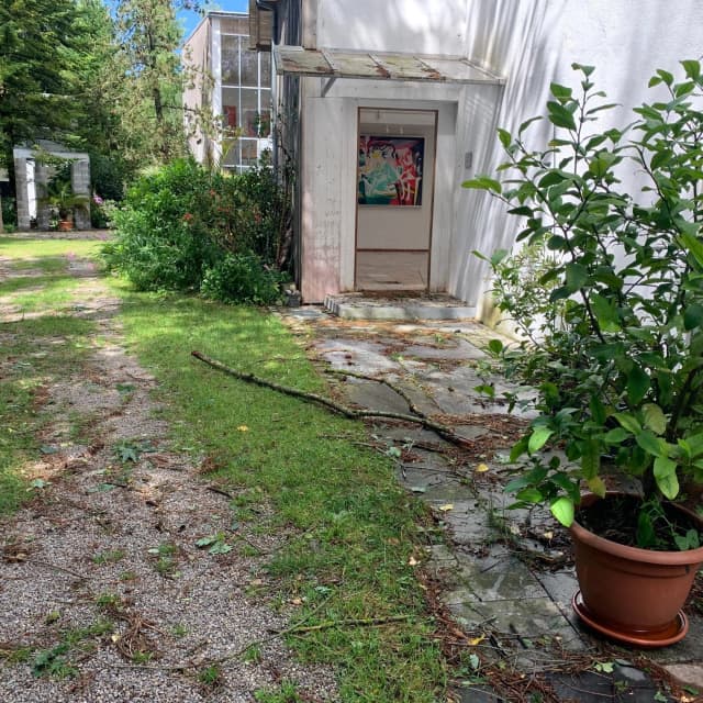 Dankbar nach überstandenem Unwetter mit kurz-heftigem Sturm und Hagel am Sonntagabend 20.07. Pflanzen, Bäume, Günz und Teich haben wieder Wasser!